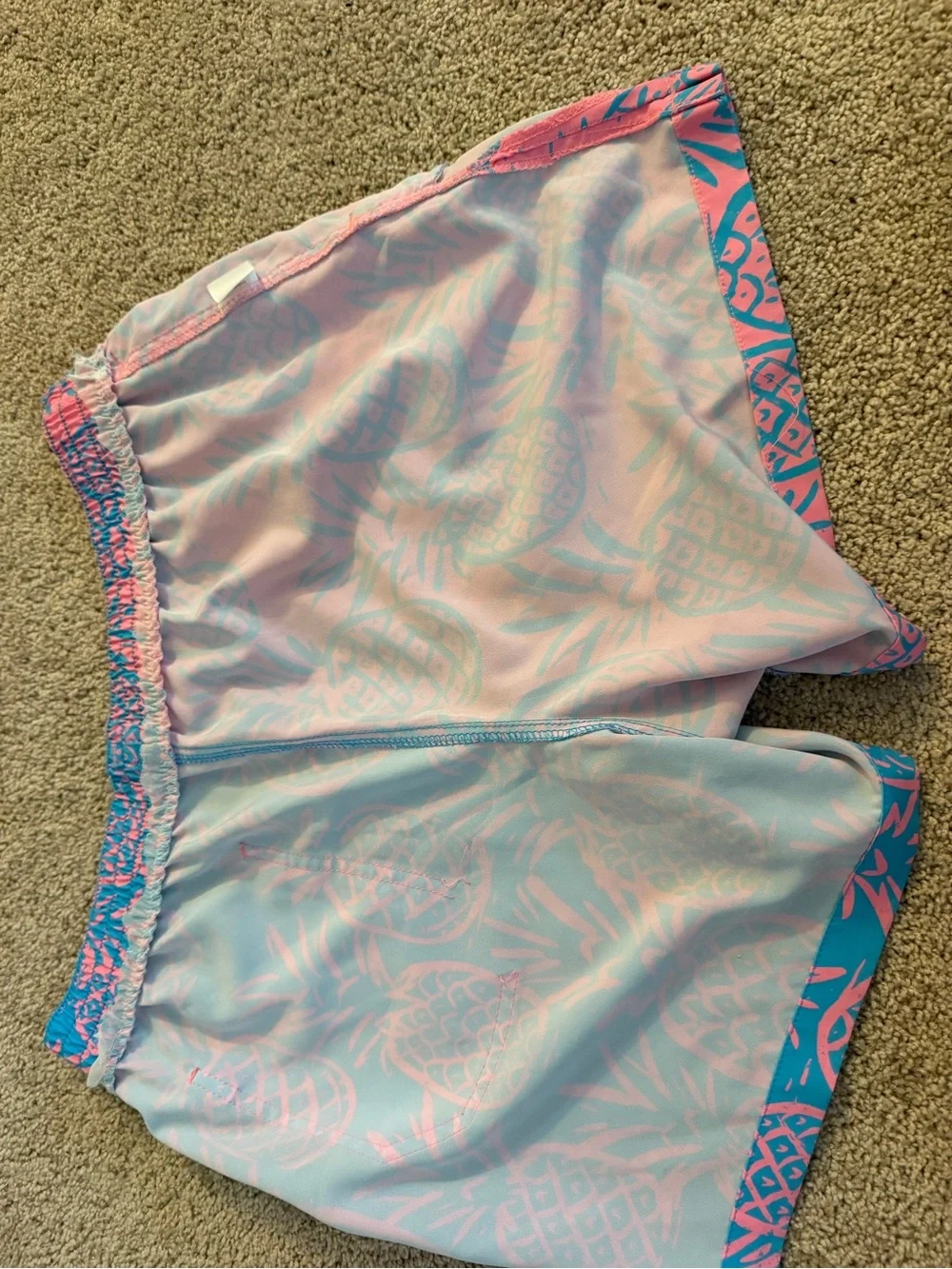 Chubbies pink and blue swim suit